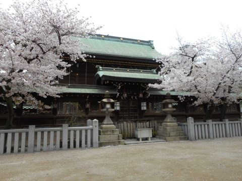 天満宮の桜