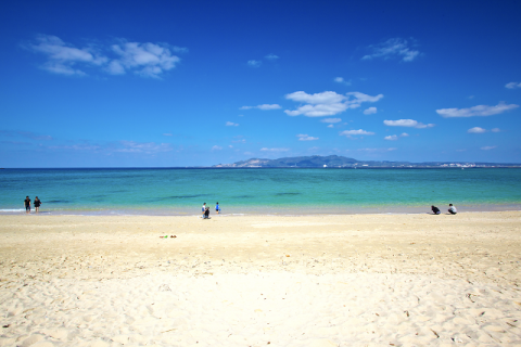 夏の風物詩