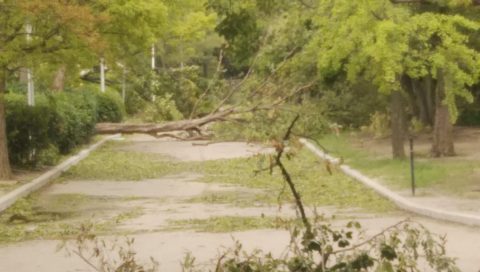 台風　２１号