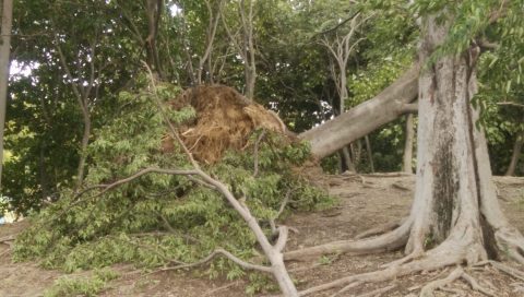 台風　２１号